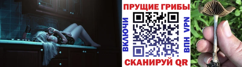 KRAKEN tor Щигры Галлюциногенные грибы Magic Shrooms